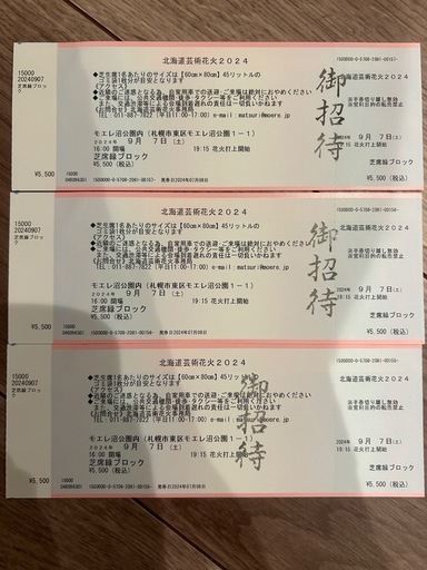 【バラ売り可】北海道芸術花火2024 モエレ沼花火大会