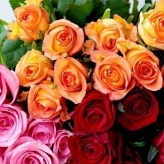バラ🌹育てたい方❣️✨