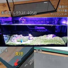 水槽2点と水槽用品15点の画像
