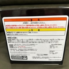 なかやまきんにくん〜りそうの姿ﾄﾛﾌｨｰ〜の画像