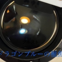 ドラゴンブルーの稚魚（1センチ前後）8匹600円からで＋１匹50円です！！ 数が増えてきたので数を増量して再投稿しました。の画像