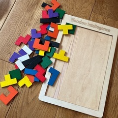 はめ込みパズル　木製の画像