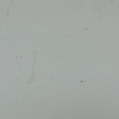 引き取り先決まりました！の画像