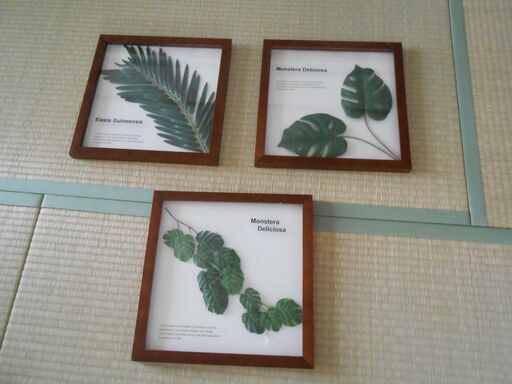 【配送出来ます】リーフパネル 3個セット （近くなら配送も可能です。宅配もお問合せ下さい）