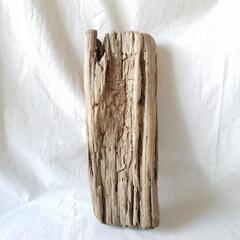 流木 約42cm 約1640g ディスプレイ 爬虫類 水槽 オブジェ ハンドメイド 素材 大きい流木 エアプランツ 熱帯魚 両生類　クラフト 家具の画像