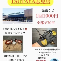 🌟カブトムシクワガタくじ🌟イベント情報