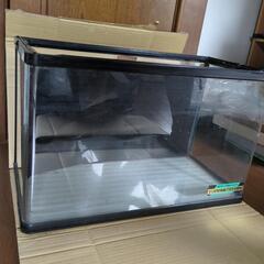 特殊曲げガラス水槽60の画像