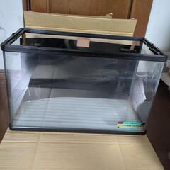 特殊曲げガラス水槽60の画像
