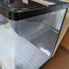 特殊曲げガラス水槽60の画像