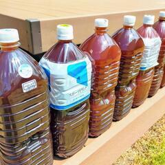 9/6〜9/8限定でお渡し可能！PSB 光合成細菌 生バクテリア500mL〜 熱帯魚、メダカや金魚や植物へ是非！の画像