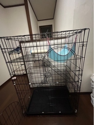 猫　ケージ