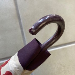 レディース折り畳み傘の画像