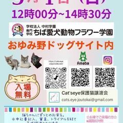 保護猫譲渡会Cat'seye　保護猫ちゃんと里親様のお見合い