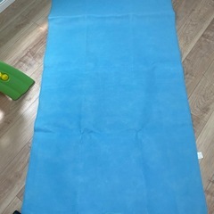 シングルベッド用 湿気取りシート2枚あります。