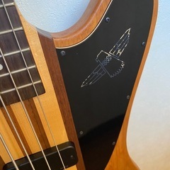 サンダーバードプロ　の画像