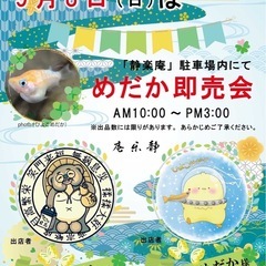 ㊗️めだか即売会㊗️in静楽庵