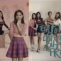 【2枚入り】TWICE×ロッテ免税店コラボ クリアファイル