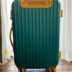 機内持ち込みスーツケースの画像