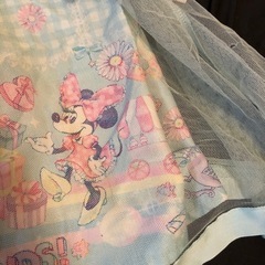ディズニーワンピースの画像
