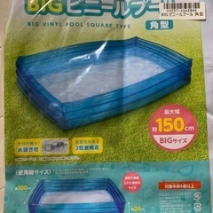 プールと浮き輪セットの画像