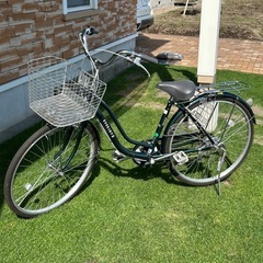 EVER JOY Ⅱ 自転車