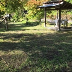 キャンプ場、宿泊施設でのお仕事に興味がある方募集‼️