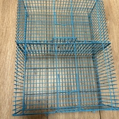 小動物、爬虫類、小鳥ケージの画像