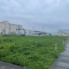 草刈り屋「ウィード」🌱300案件突破！！ - 名古屋市