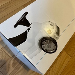 ジュニアワーゲンの画像