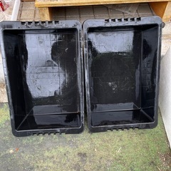 プラ箱×2 メダカ 飼育容器
