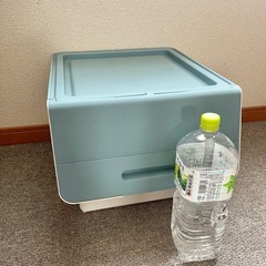 【決】みみさんの画像