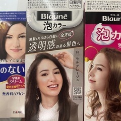 ブローネ泡カラー　サロンドプロ　　未開封ヘアカラー3種