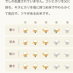 無農薬　　新米　お米
の画像