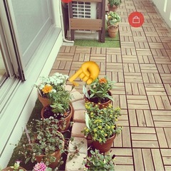 【⚠️今週処分します】賃貸がオシャレになるレンガ♪の画像