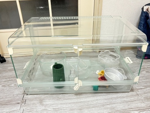 決まりました