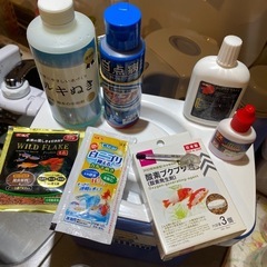 ベタ　金魚　飼育セット
