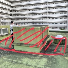 やる気のある方、大募集🙌