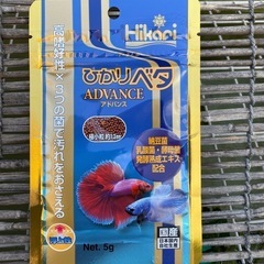 キョーリン　ひかりベタアドバンス1個