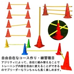 アジリティー練習セットの画像