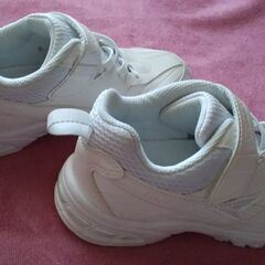 駿足１９サイズ　の画像