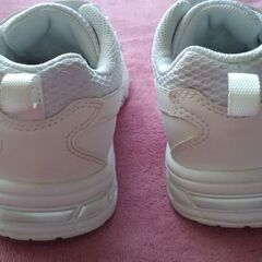 駿足１９サイズ　の画像