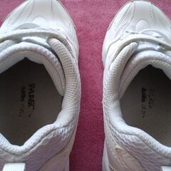 駿足１９サイズ　の画像