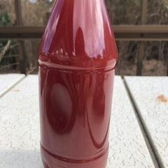 PSB　500mlの画像