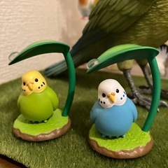 インコフィギュアの画像