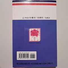 公主的遺産　マリーブラッシュに伝えて(外国版)　やまざき貴子の画像