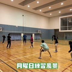 ソフトバレーメンバー募集 - スポーツ