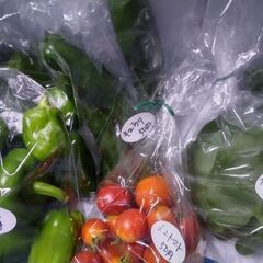 新鮮野菜コーナー8月21日の品出し予定です。