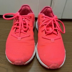 スニーカー25cmの画像