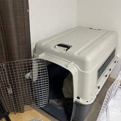 大型犬クレート