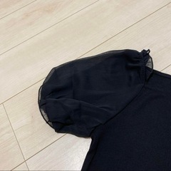 Tシャツ ブラウス フリル シアー レース 無地の画像